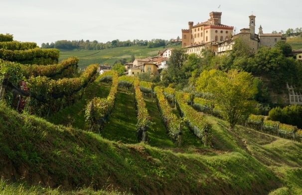 From Nebbiolo to Barolo The King of wines