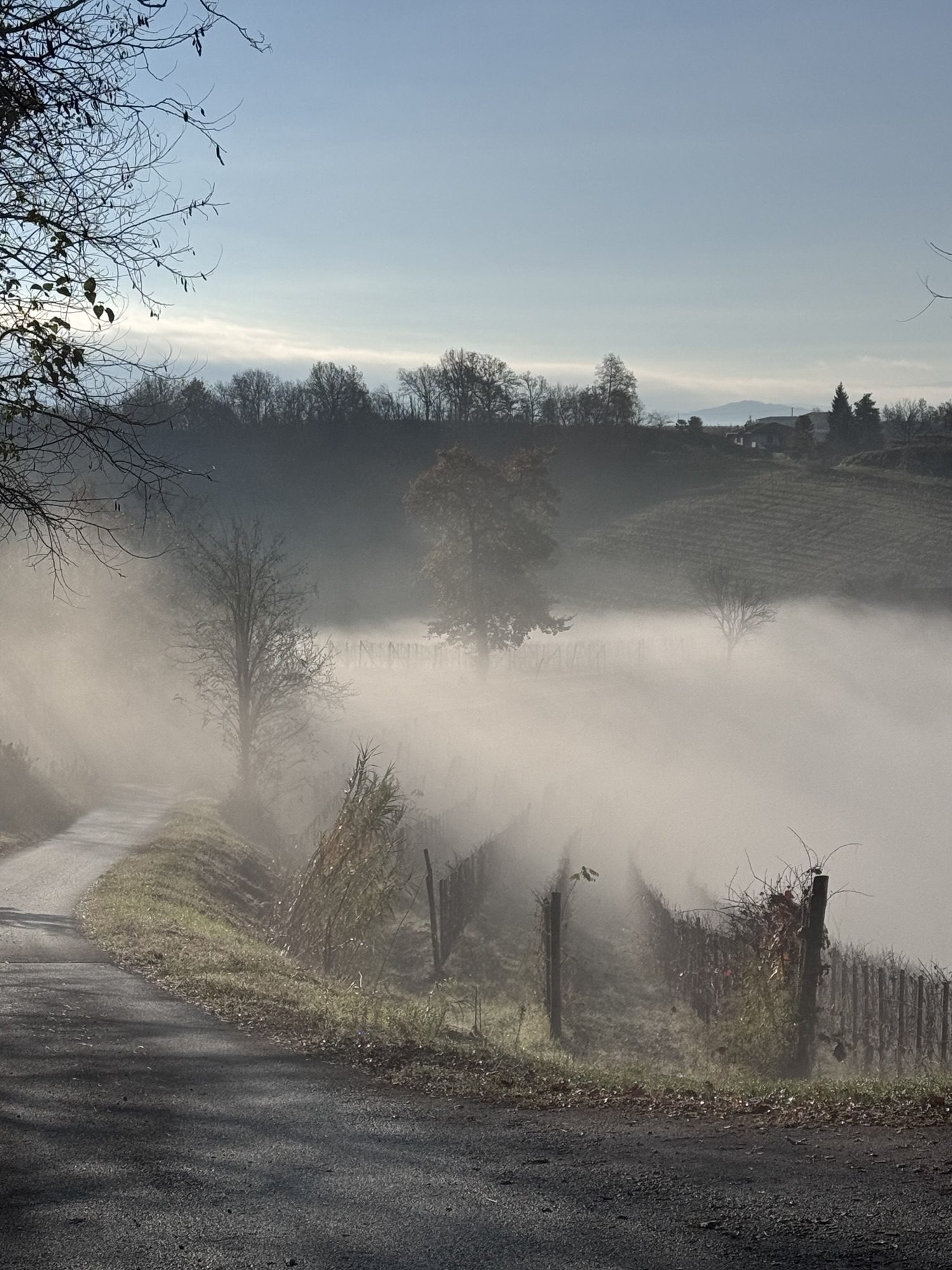 A Saturday Sojourn in Barolo: Discovering Hidden Gems
